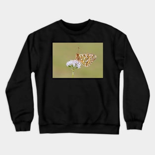 Dark Green Fritillary Butterfly on a White Valerian Flower Crewneck Sweatshirt